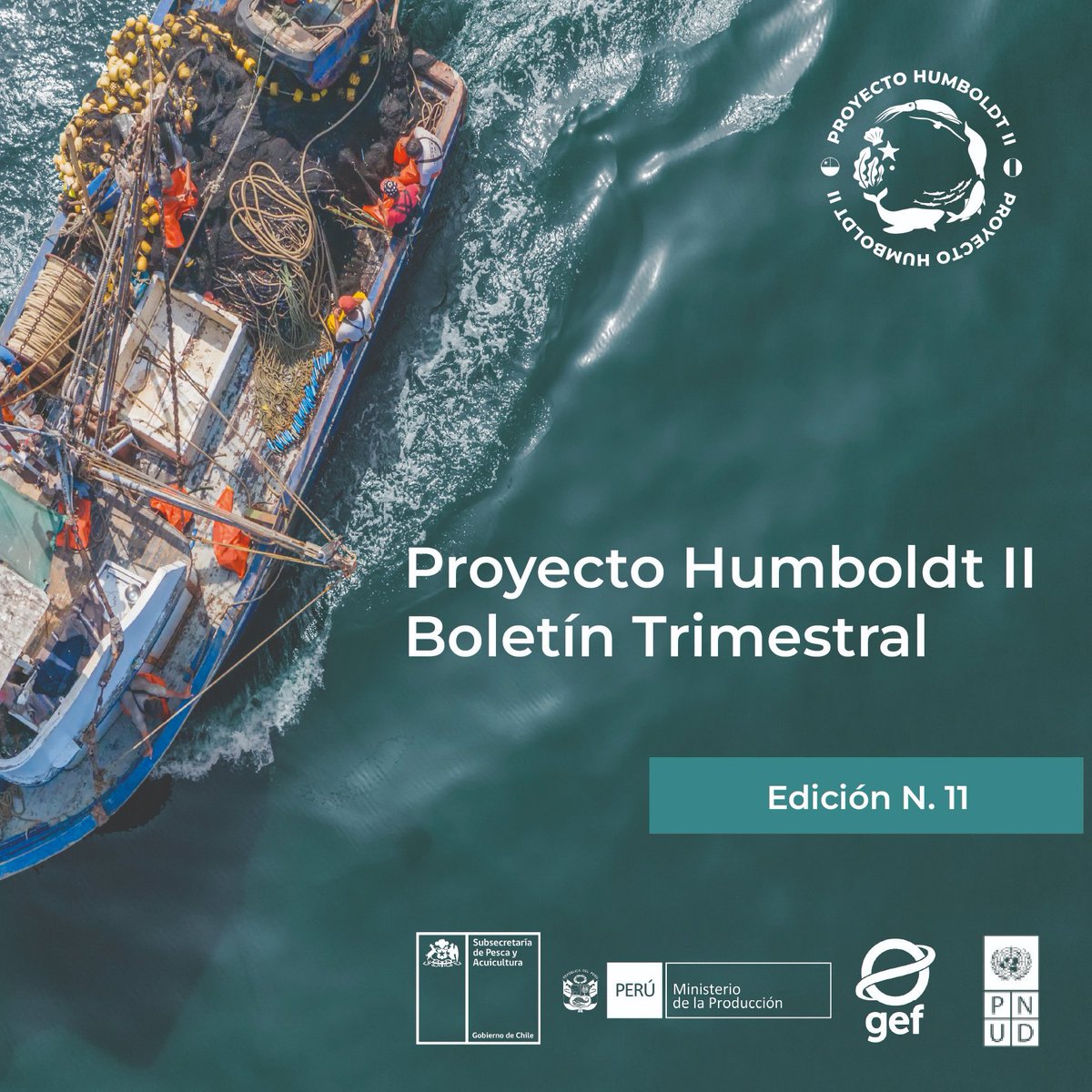 🔊 Conoce nuestras últimas actividades y noticias en diversificación productiva, conservación de áreas marinas protegidas, promoción del turismo, planificación espacial marina, género y más. 🐟🐳

Lee nuestro boletín N.11 aquí: bit.ly/3G0jmTw