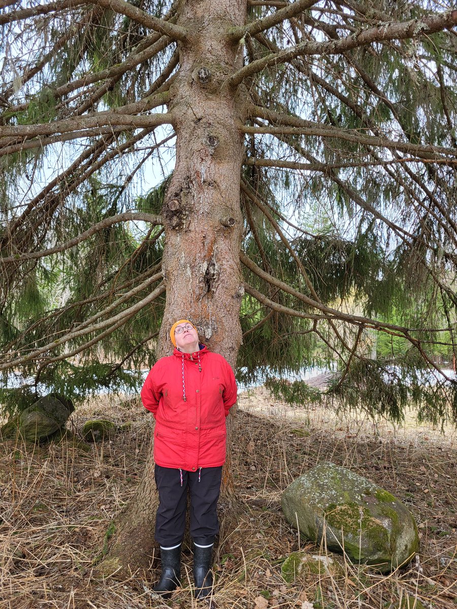 Kun vaaliurakka on ohi ja samalla 
oma luottamushenkilöura loppusuoralla niin voi suunnata aatokset tuleviin ja rauhassa jättää toimet toisten toimitettaviksi
On aika keskittyä kotiin ja läheisiin
Lukea, katsoa leffoja, vain olla ja katsella elämän pieniä ja suuria ihmeitä.