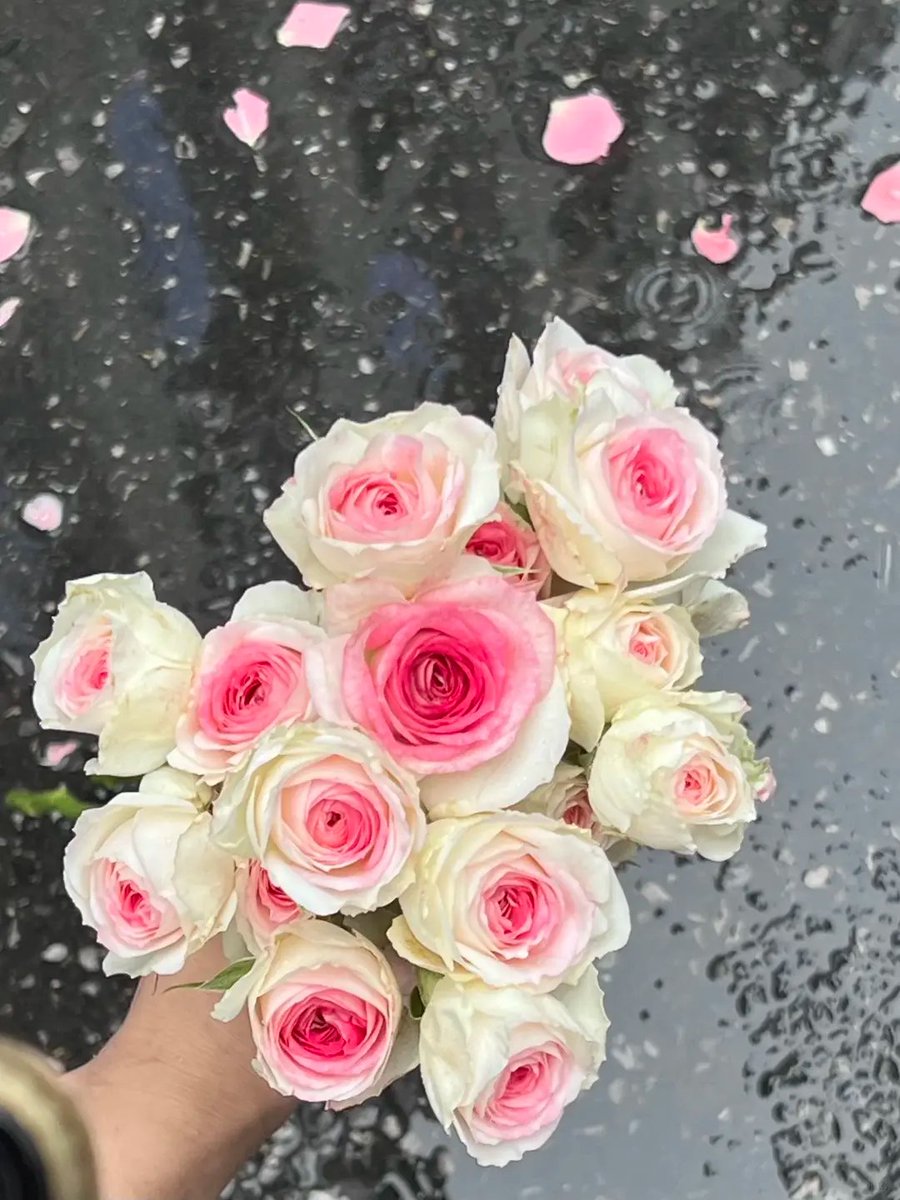 xiaoxiaohuahua2's tweet photo. Life is a live performance, missed moments won't be replayed. #Life #LivePerformance #Moments #NoReplay #CherishEverySecond #大美中国 #heal #Live #grow #happy #Records #Daily #time #AllinCeltics https://t.co/q5JfJlpf2M