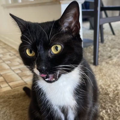 Shwayne28's tweet photo. #NewProfilePic https://t.co/imFDzS9MJr
