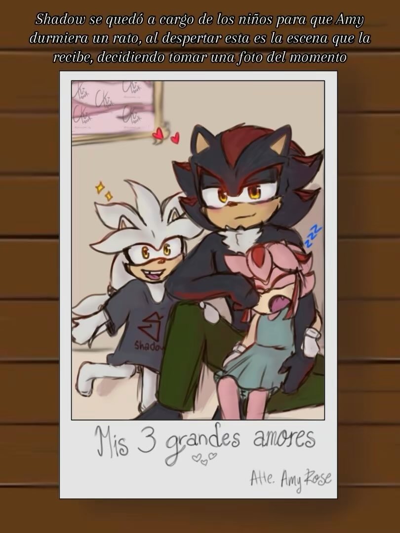CatianaMark's tweet photo. #shadamy #SilverTheHedgehog #KnucklesTheEchidna #ShadowTheHedegehog #Amyrose #Sad #NPM https://t.co/zhv1wDIUO5