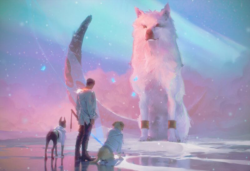 Do you own a dog hoodie?