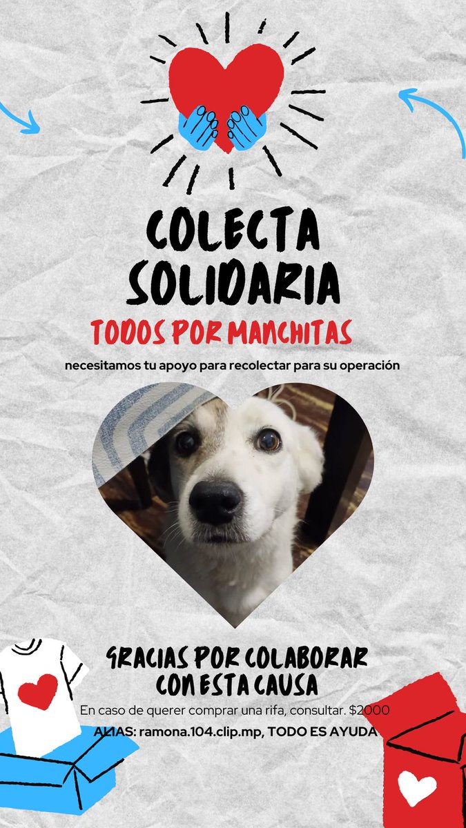LoreCalvagna's tweet photo. Manchita es una perrita que necesita una operación en sus riñones. Los vecinos de zona norte estamos realizando una colecta y una rifa para poder solventar los gastos. Si queres participar con lo más mínimo haces un montón.  Graciasa @CalleDeRosario @Rosariotres @teleferosario https://t.co/qb9tFIw6nx