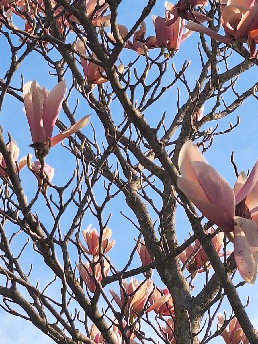 Love me a good #springtime 🥰😍