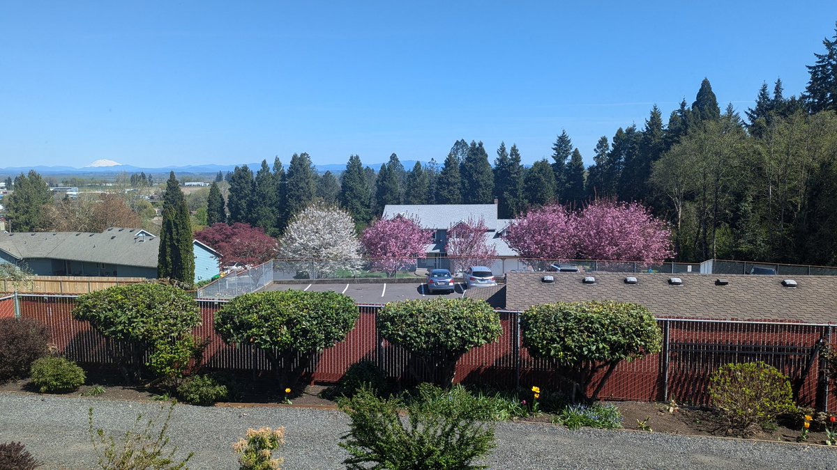 Matt Kangas tweet media