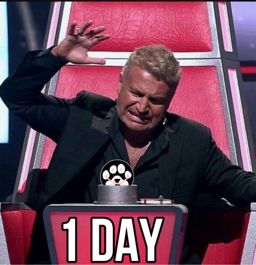 a_andrew_crypto's tweet photo. AAAND just 1 day! $Paws
@solana @bybit @bitgetglobal @MEXC_Official @kucoincom @Gate_io #crypto #solana https://t.co/9zEvlFmwkk