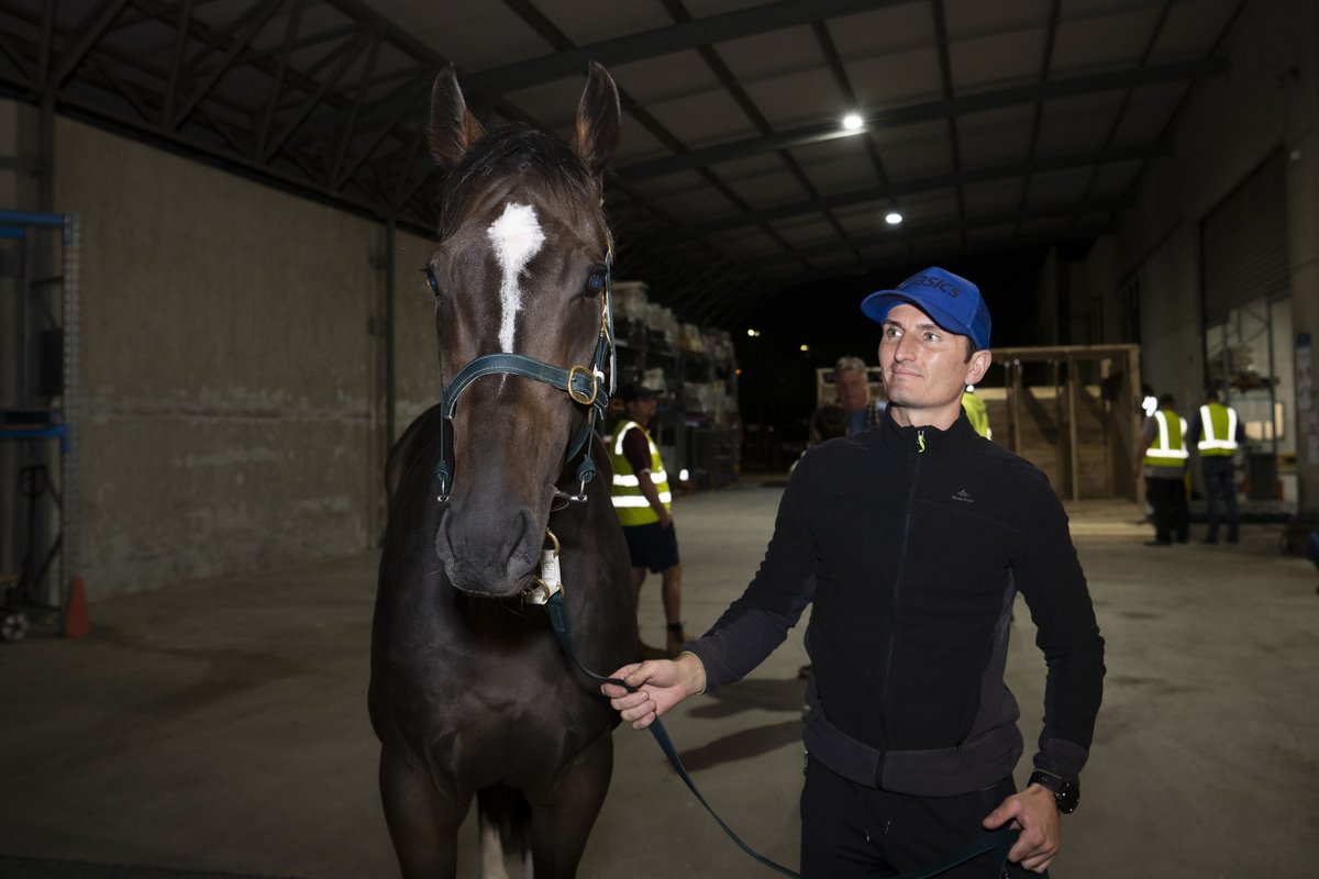 Racing WA Thoroughbred (@racingwa_tbreds) on Twitter photo The interstate and Kiwi raiders touched down in Perth overnight for the upcoming $5M Kia Quokka slot race on Saturday, April 26, at Ascot.
✈️ Overpass
✈️ Headwall
✈️ Front Page
✈️ Crocetti
#QuokkaSlotRace | racingwa.com.au/quokka
<a href="/PerthRacing/">Perth Racing</a> <a href="/WesternRacepix/">Western Racepix</a> The interstate and Kiwi raiders touched down in Perth overnight for the upcoming $5M Kia Quokka slot race on Saturday, April 26, at Ascot.
✈️ Overpass
✈️ Headwall
✈️ Front Page
✈️ Crocetti
#QuokkaSlotRace | racingwa.com.au/quokka
<a href="/PerthRacing/">Perth Racing</a> <a href="/WesternRacepix/">Western Racepix</a>
