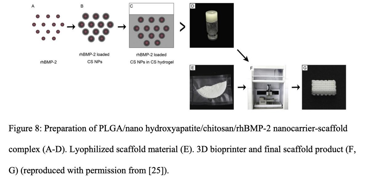 "Biomaterials-Based Approaches to Mandibular Tissue Engineering: Where We Were, Where We Are, Where We Are Going".  Excellent article by Tony Mikos and Maeve Kennedy of Rice Bioengineering in #RegenerativeBiomaterials    academic.oup.com/rb/advance-art…