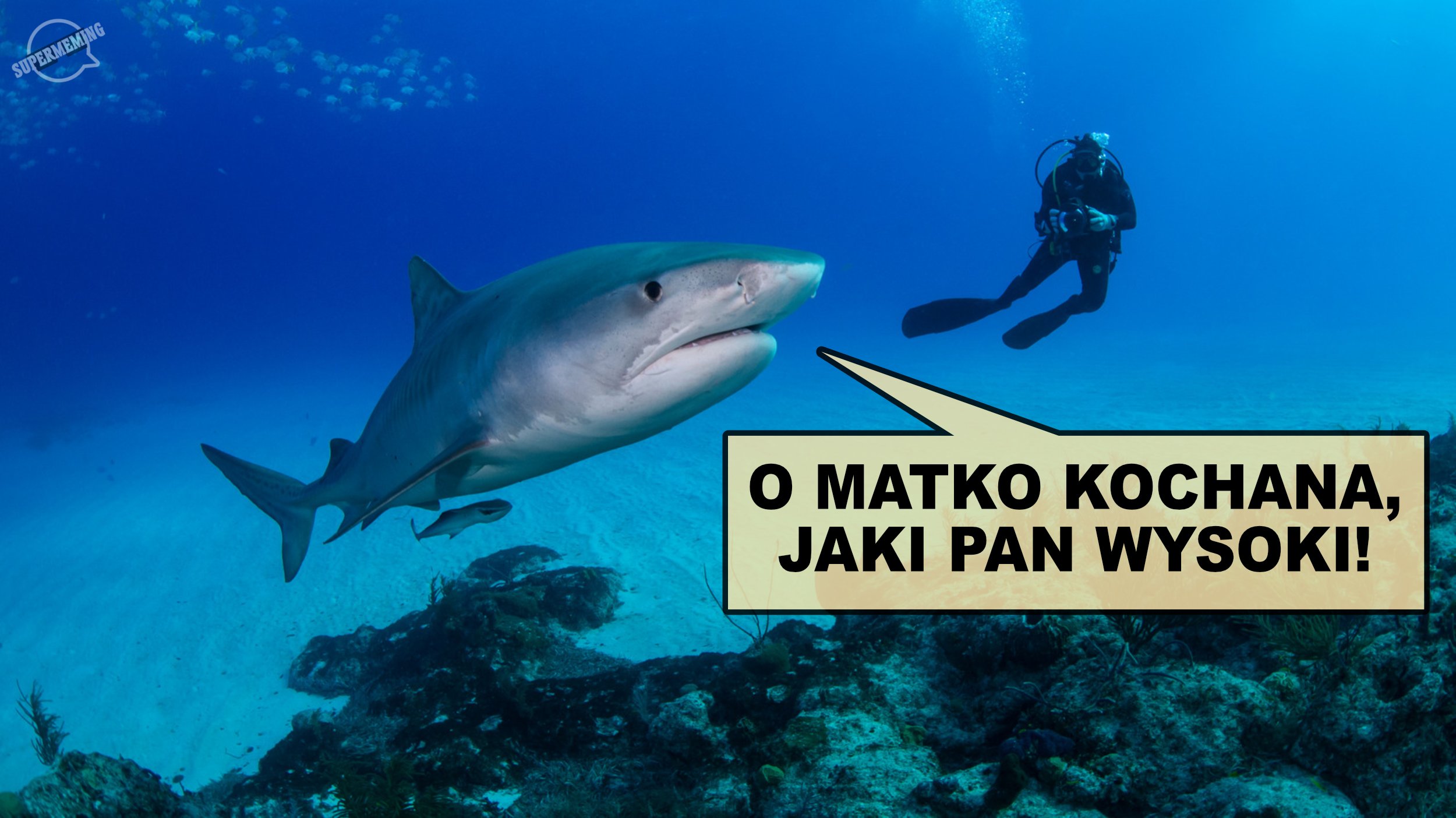 GohsS_rW4AArPCJ