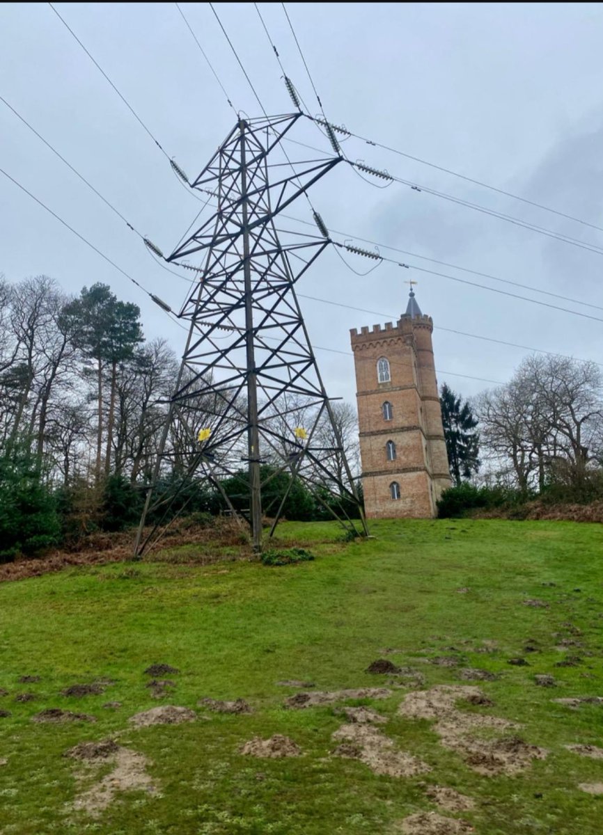 April's Pylon of the Month is from Painshill in Surrey. It features a lovely gothic tower and an evening lovelier 132kV tension pylon. More details in the usual place. pylonofthemonth.org