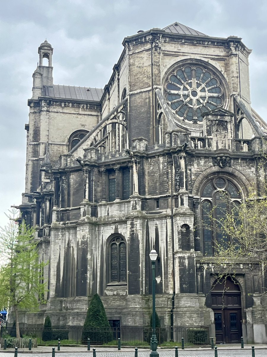 Signe Pike tweet media