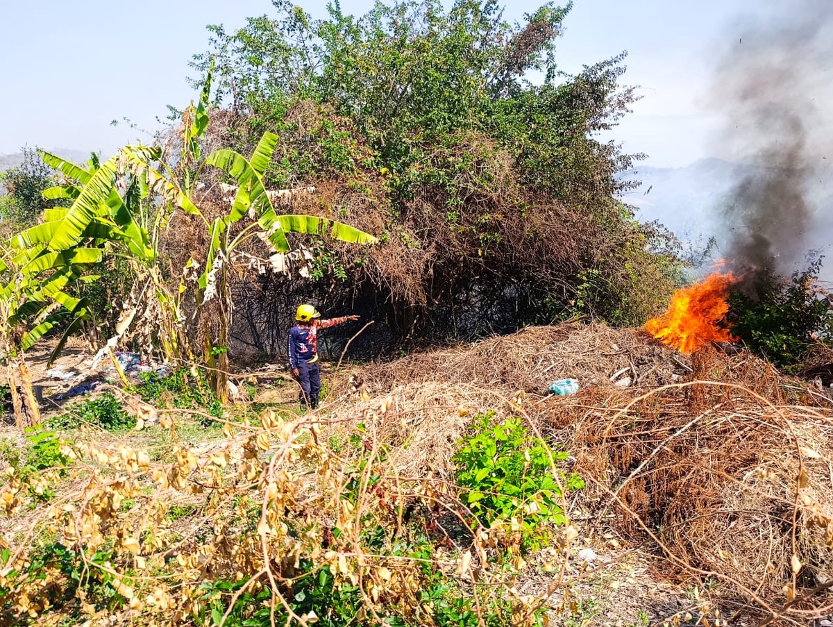 Los apaga fuego de Santa Lucia, Equipo de Gestión de Riesgos, Protección Civil... Todo un equipo activo para el control de incendios forestales que surgen en la época de #SemanaSanta2025 #EnDesarrollo calle principal Sabana del Milagro. Instan a la población no ser participe 🔥👩🏻‍🚒