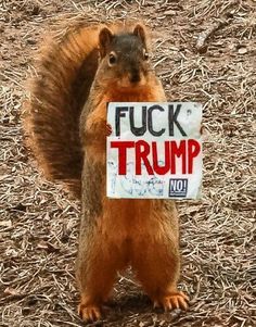 ScoutFella's tweet photo. The mistake is rTrump, demented and evil.
#FUCKTRUMP #Krasnov
#WitkoffOut
@POTUS @SecDef @RepJoeWilson @SecRubio
Slava Ukraini! ๐บ๐ฆ๐๐
#UkraineWillWin
#RussiaIsATerroristState
#MakeAmericaBritainAgain https://t.co/W5NkOMebpd