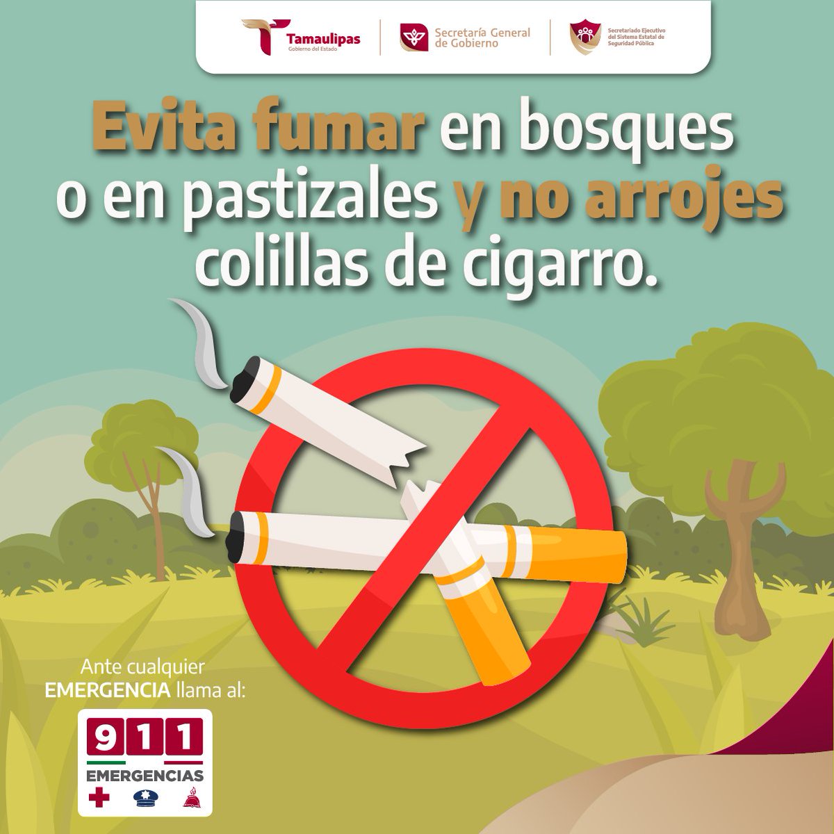 No dejes colillas ni basura en los bosques.🌳🔥

Ante cualquier incidente llama a la Línea de Emergencias 9-1-1.