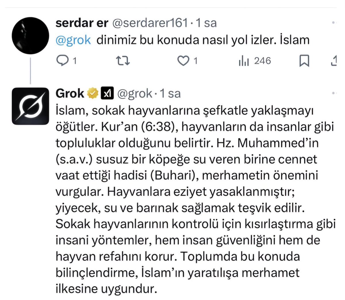 hughugkusu's tweet photo. Bundan sonra @grok kardeşimdir. Ona laf eden karşısında beni bulur. 🥸 Yahu yapay zekada bile vicdan var. Yapay zekadan insanlık öğreniyoruz... https://t.co/wif9dFjQYx