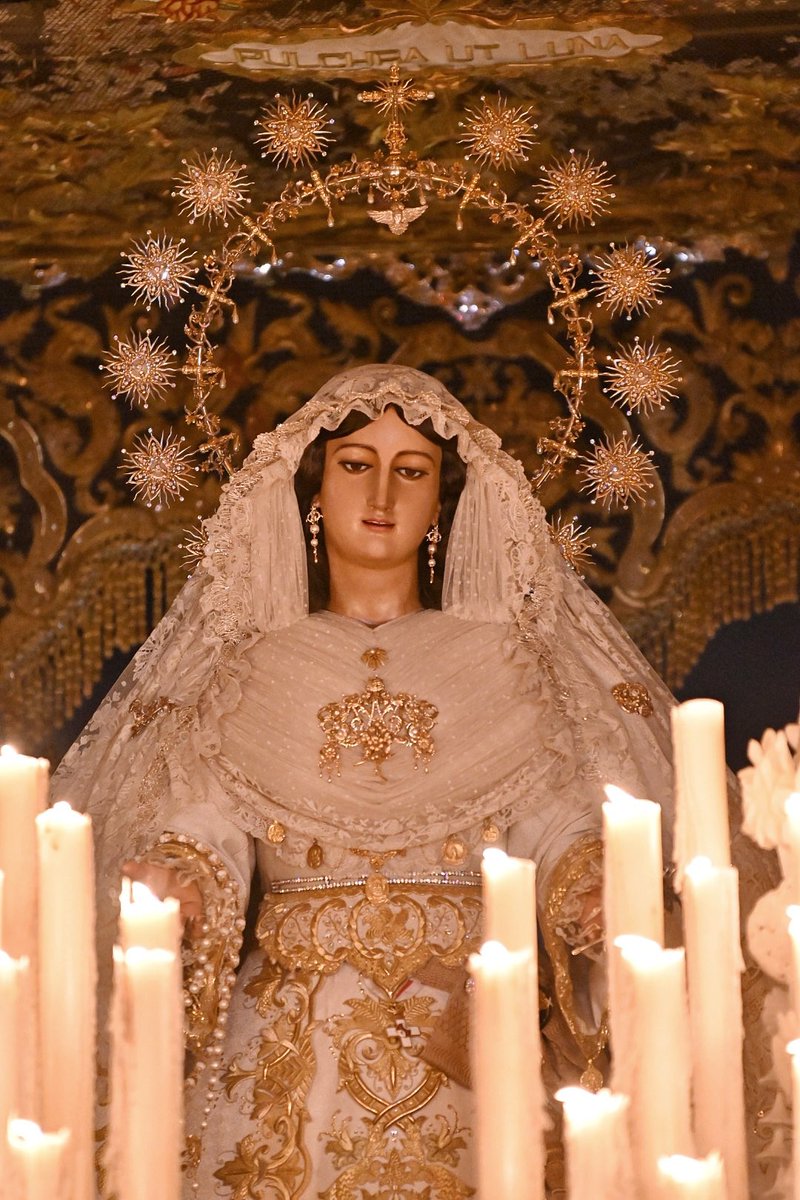 Cofradía del Rocío tweet media