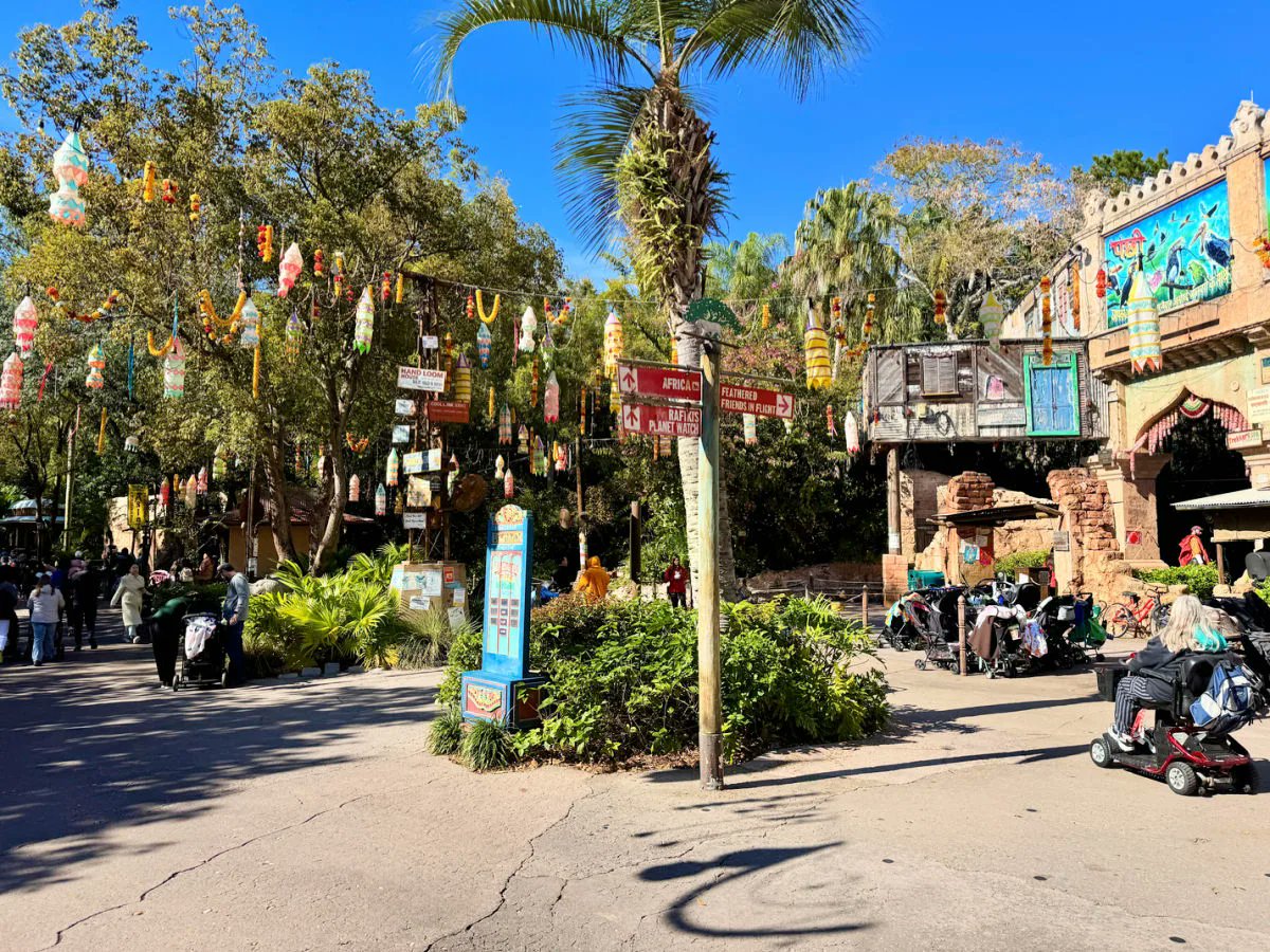 🐘🦒#AnimalKingdom is much more than a theme park—it’s a magical blend of rides, incredible animals, lush scenery, and unforgettable experiences.

Click below (insider tips, places to eat, best attractions) for your next #Disney adventure. 🦁🌿

whereverimayroamblog.com/ultimate-guide…