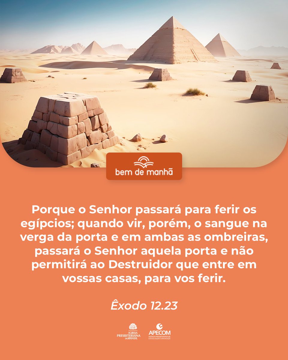 ipboficial tweet picture