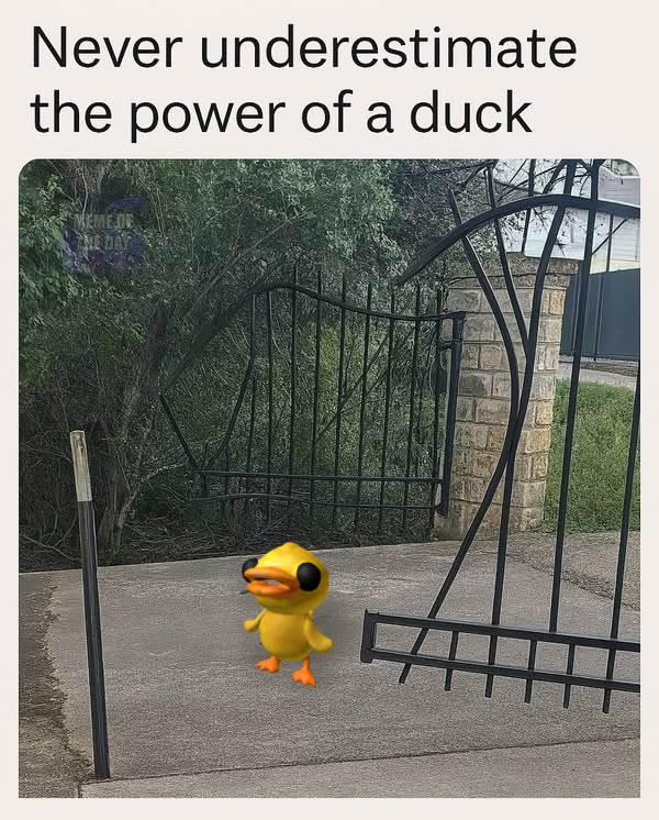 cryptidbugz's tweet photo. i saw this and just couldnt resist https://t.co/VyVhMusJPt