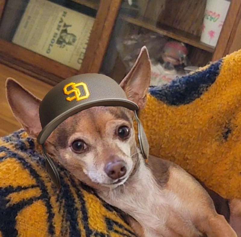 #PadresPets #ForTheFaithful #GoPadres