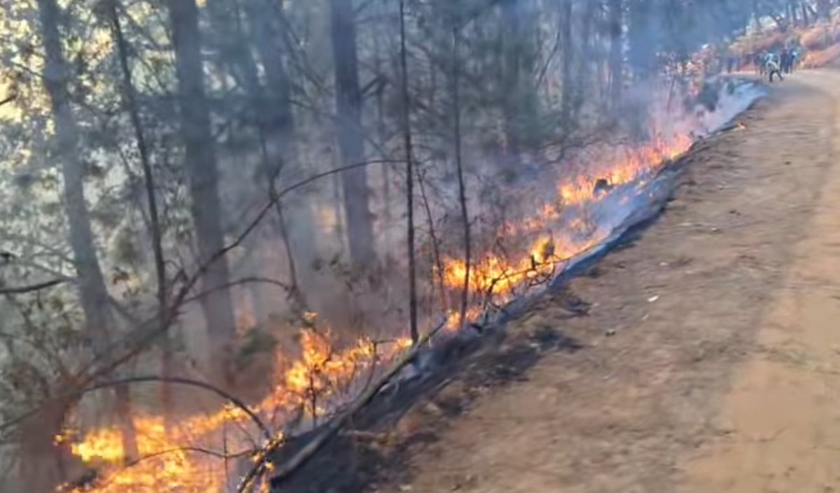 #UltimaHora 2 fallecidos en incendio y niño lesionado 

Reportan de manera preliminar que dos personas fallecieron en incendio forestal en la localidad de Manzanito, Santa María Peñoles en colindancia con San Miguel Peras  

De acuerdo con versiones, la síndico de ese municipio