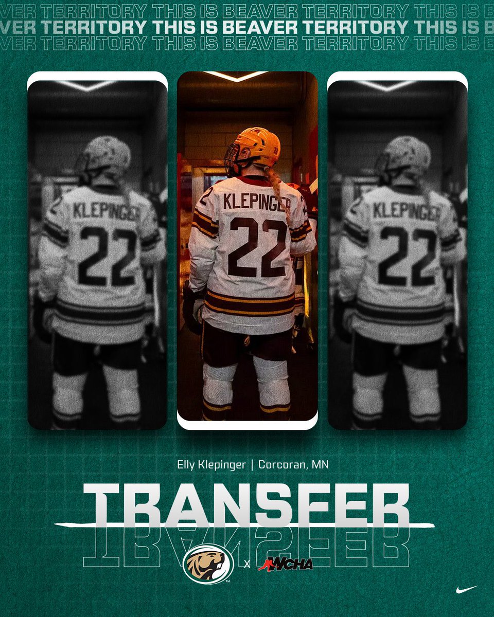 Bemidji State Women’s Hockey tweet media