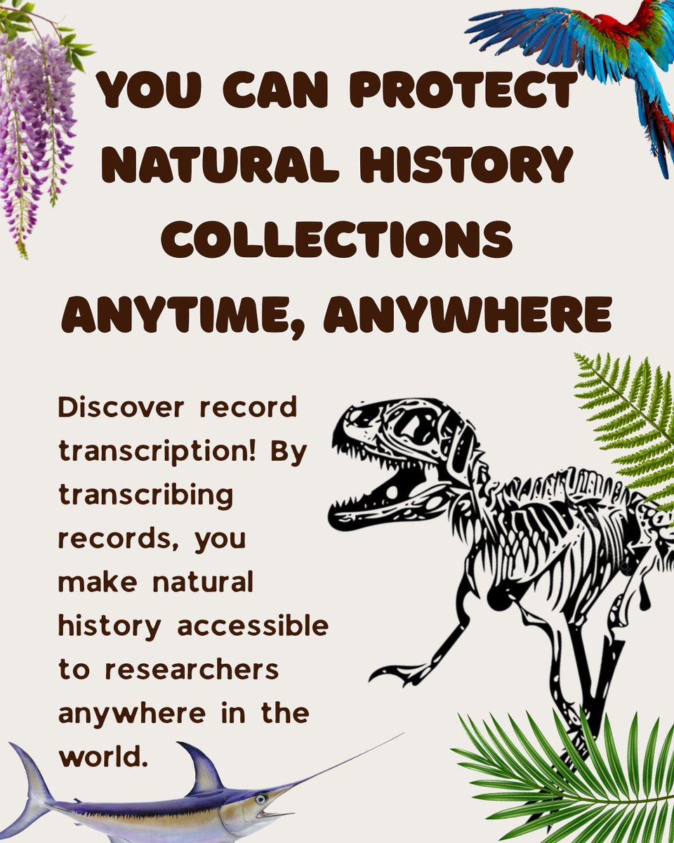 WeDigBio (@wedigbio) on Twitter photo Looking to continue to protect natural history collections outside of in-person events? We have the perfect solution! By transcribing natural history collections remotely, you can mobilize vital information for worldwide access. Click the link in our bio for more information Looking to continue to protect natural history collections outside of in-person events? We have the perfect solution! By transcribing natural history collections remotely, you can mobilize vital information for worldwide access. Click the link in our bio for more information
