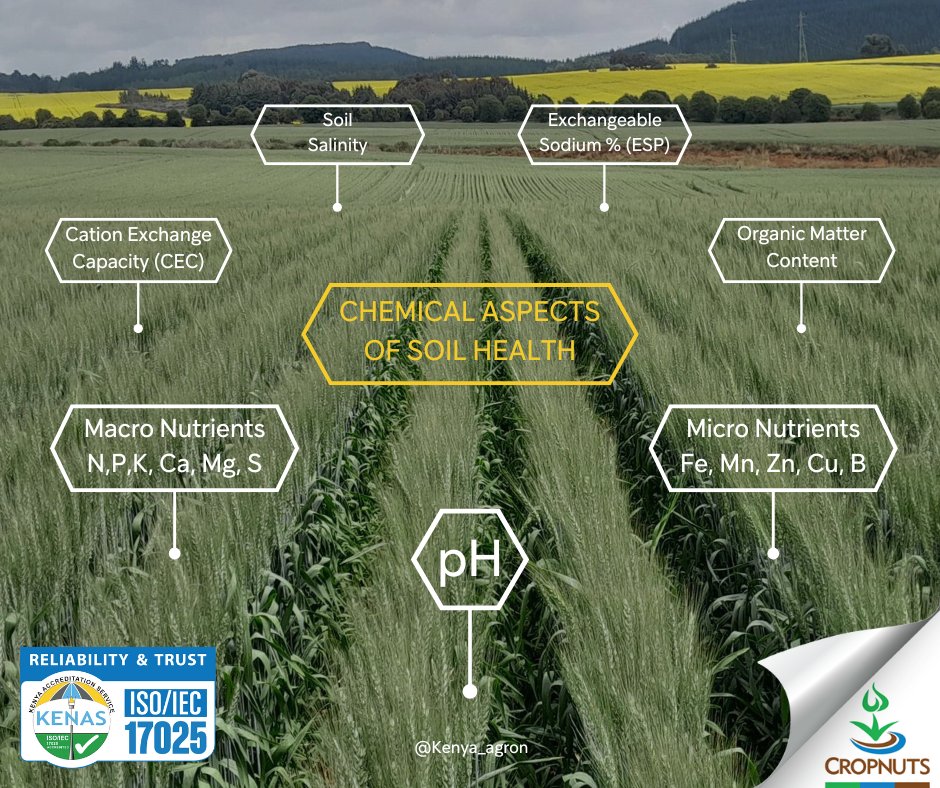 The physical, chemical, and biological aspects of soil health are fundamental to efficient modern agriculture, as they collectively form the foundation of a thriving and productive soil ecosystem. Today, we delve into the chemical aspects of soil health: bit.ly/3Av7HJT