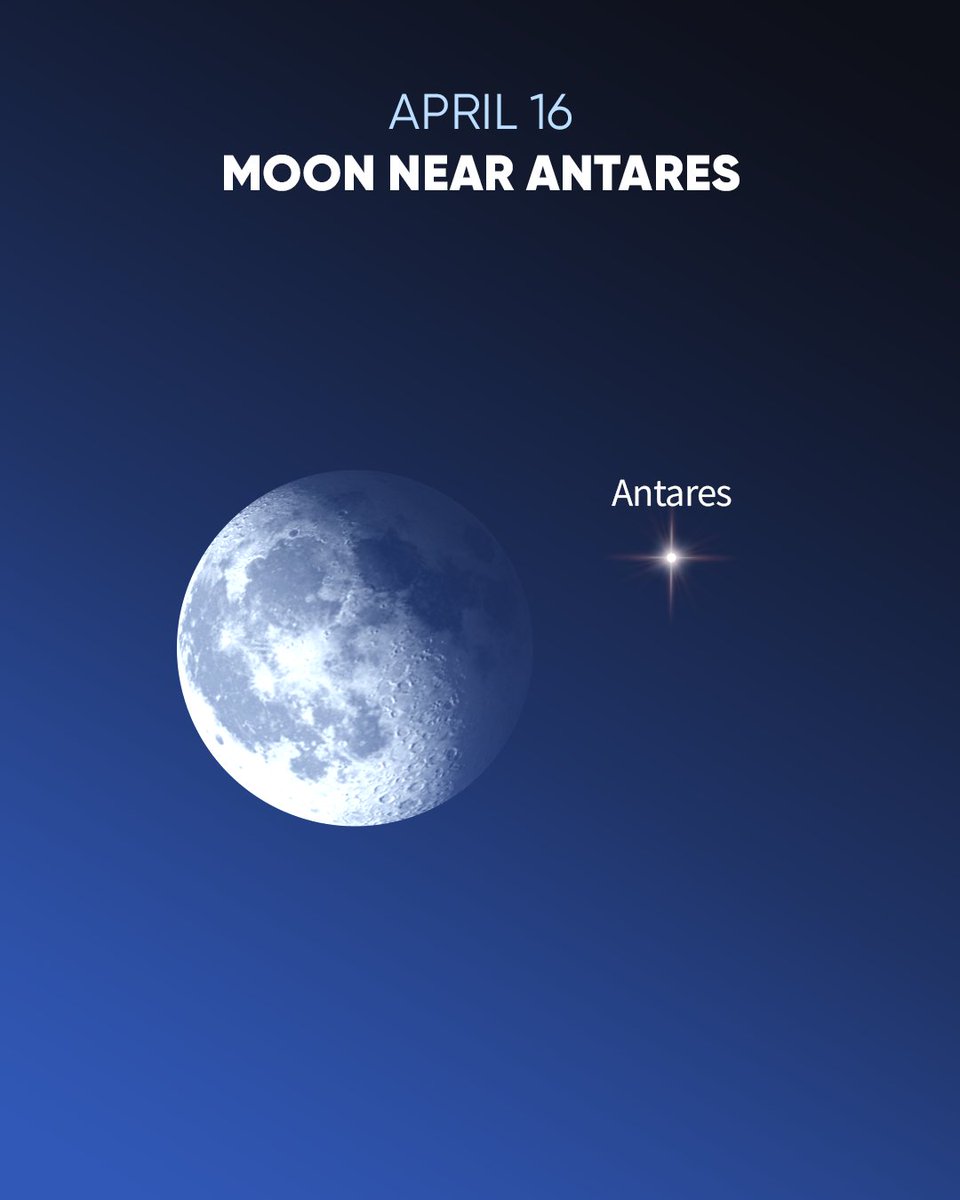 Moon is close to the Scorpion’s heart ❤️‍🔥
On April 16, 2025, the Moon will pass close to red Antares — and even occult it for parts of southern Africa! Learn more ⬇️
starwalk.space/en/news/antare…