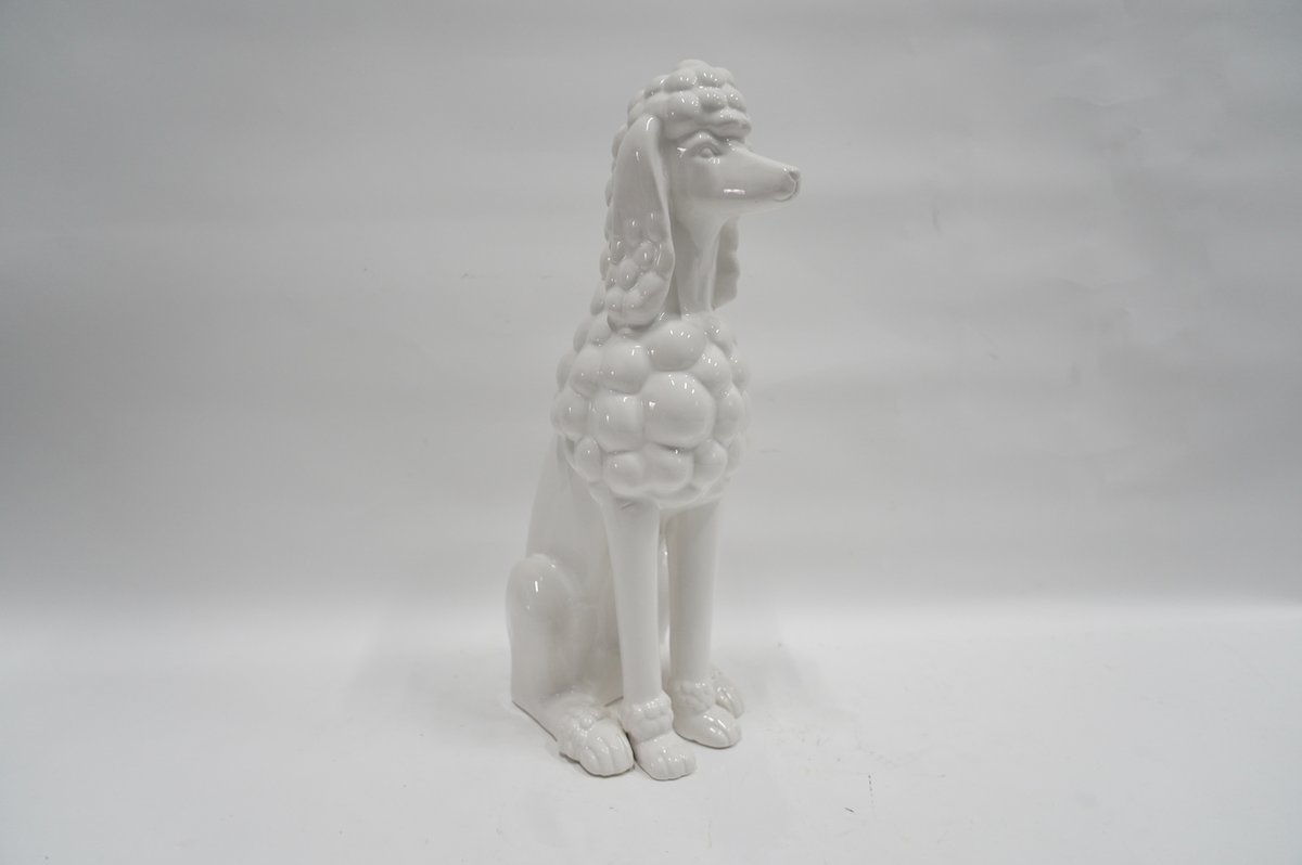 RobSur's tweet photo. Do you want to an interesting Poodles, Contact me Now!!! https://t.co/cjSKxeRSgA