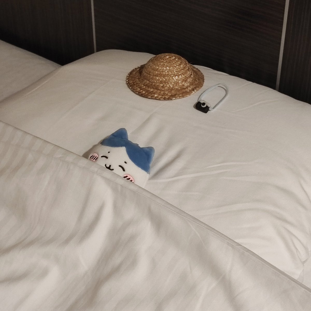 ﾆｺﾆｺｽﾔｽﾔﾜﾚ