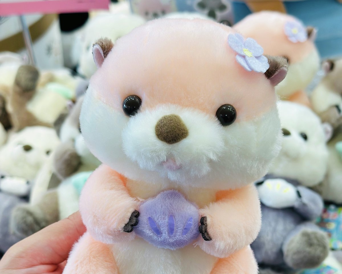 🌸はなパラ開宴中🌸 こんぺいとうとラッコのらいちちゃん( * ֦ơωơ֦