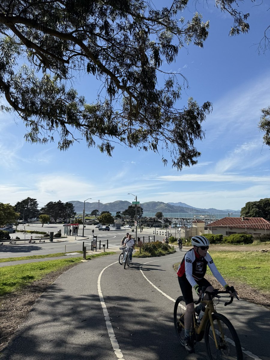 Jesus A. Castillo F. tweet media