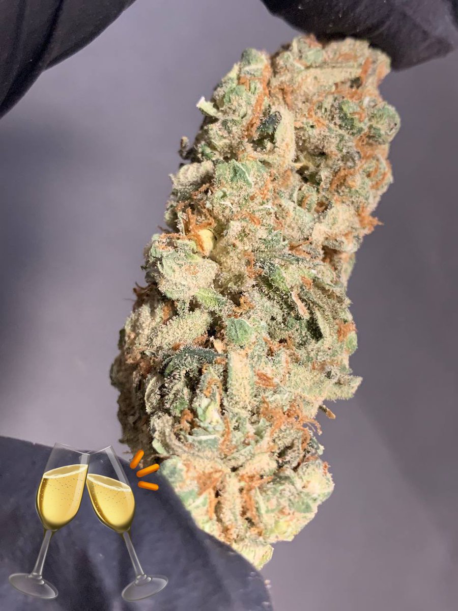 麻月4月20日に向けて合計42人に🎁

イイネの中から当選者決める🫶

🌱5種吸い比べSET【21人】
🍯2種吸い比べSET【21人】

発表は勿論4月20日〜
 
ch消えてるのでシグナル登録宜しく！
signal.group/#CjQKIFExmryfN…