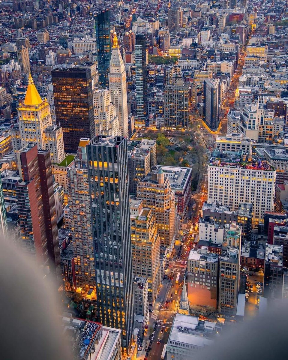 MandyFlowe72070's tweet image. The perfect pigeon perch , NEW YORK