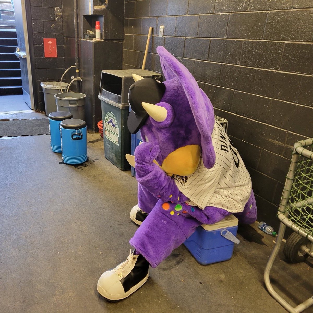 DNVR Rockies tweet media