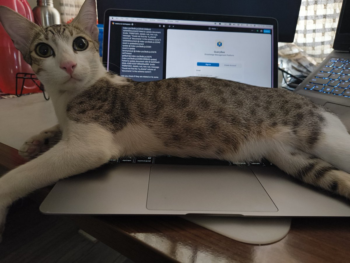 What do you mean you're building an app

I demand immediate attention