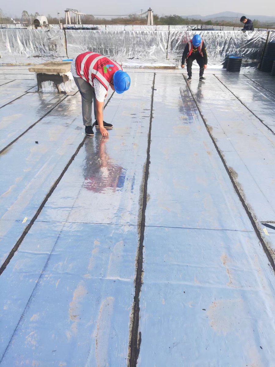 Ze01W10274's tweet image. FOLDING SOLAR PANELS
CONQUERING NATURE'S CHALLENGES
 #FoldableSolarPanel #PortableSolarPower #RenewableEnergy
Elevating Solar to New Heights
wanzenyint.com