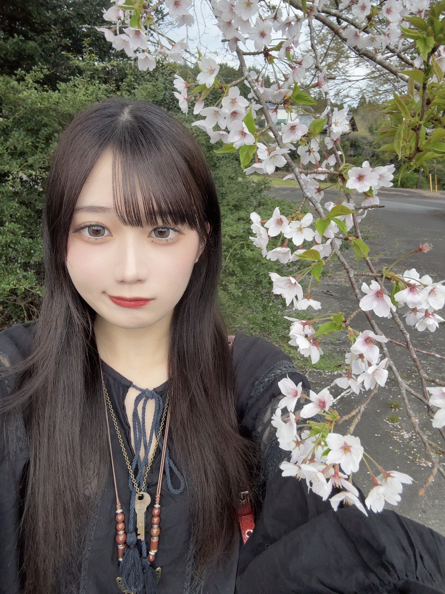橋本 恵菜 (Pixel Ribbon) (@meguna_pxrb) / X