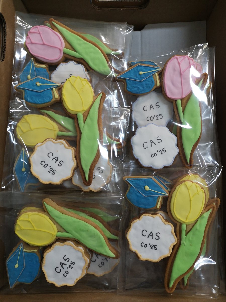 Katina Grigoraskos, PsyD tweet media