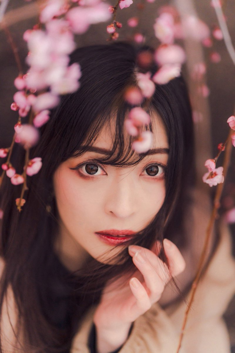 ahcrea1002photo's tweet photo. model:Arlyさん( @arly0401 )
#Arly #Arly_ph #ありぽ
#梅 #梅ポートレート
Sony α7Ⅳ + SIGMA 85mm F1.4 DG DN https://t.co/KObnkyJNrV