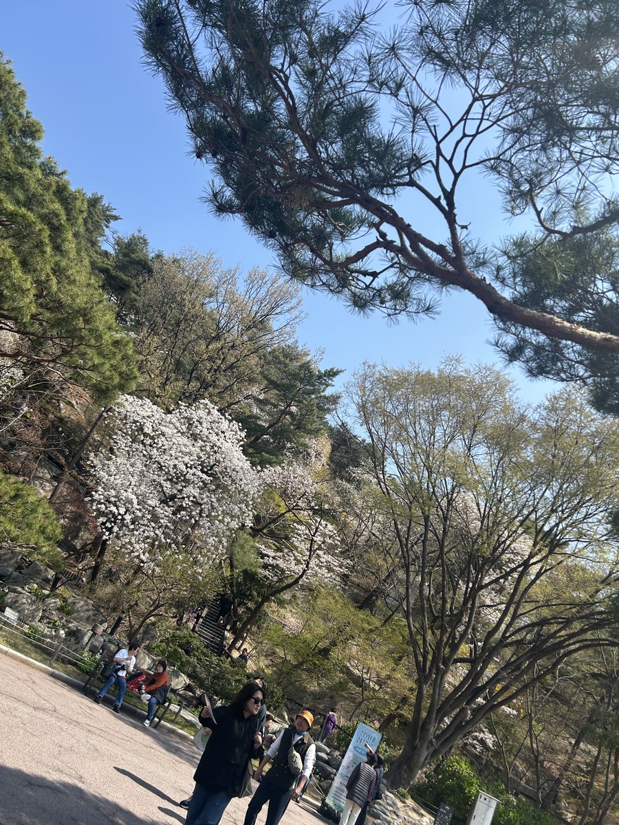 keeancy's tweet photo. korea. https://t.co/PyIq9PB4YZ