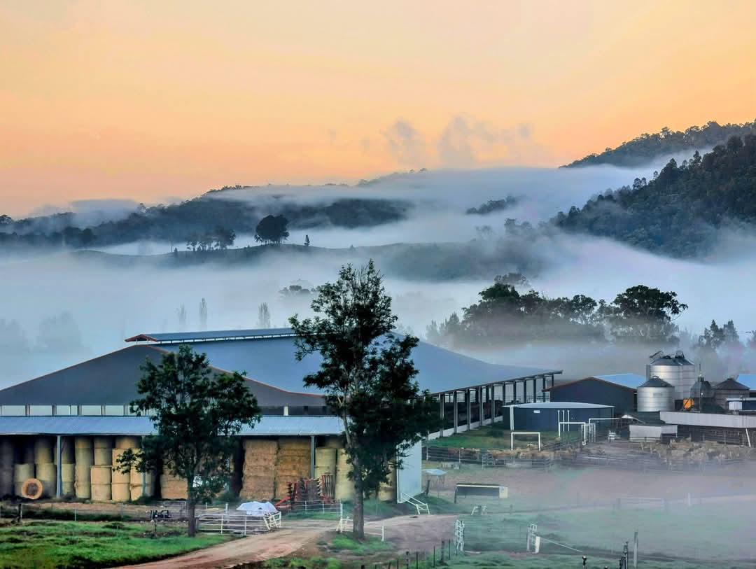Mist on the mountain drifting towards the dairy buildings