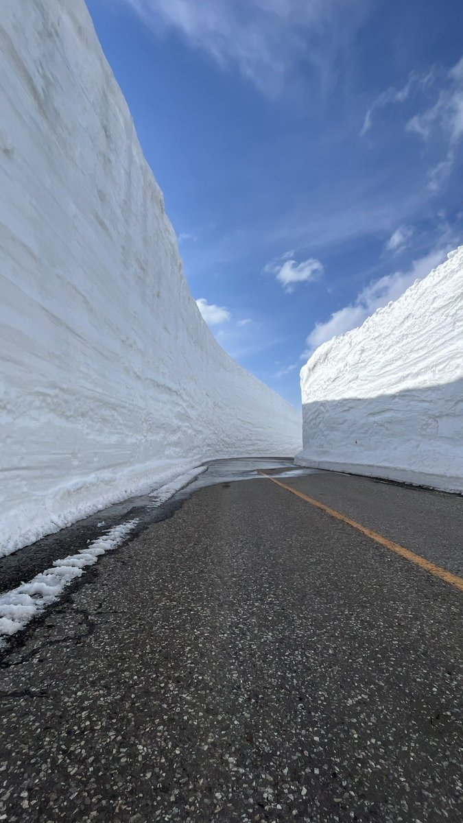 今年の雪の大谷の高さはなんと16m！！ 写真(2023年)の13mよりもはるか