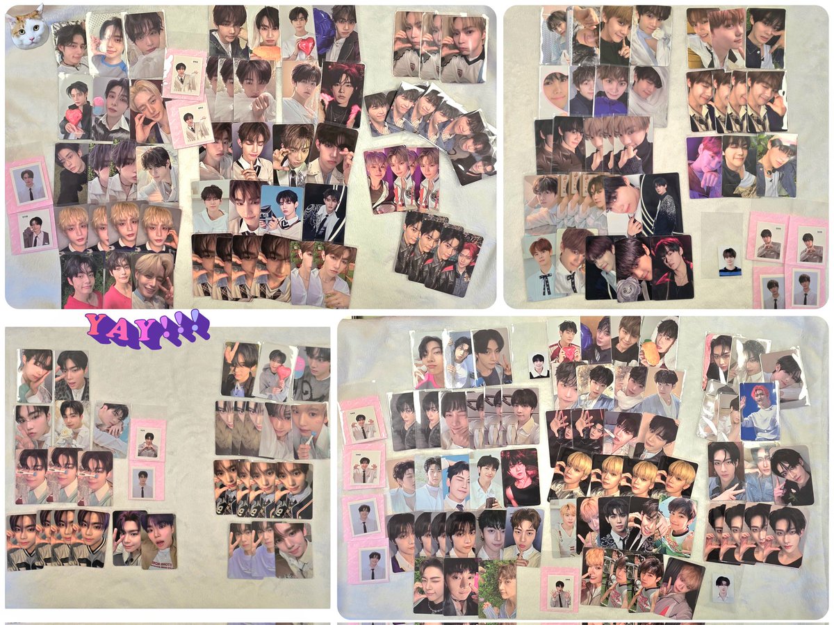 🌻제베원 팬콘 포카 나눔🌻
✔️첫콘, 중콘, 막콘 모두 (단, 소진시 마감)
✔️ follow❌️   rt❌️   응원봉⭕️
✔️ 1인1회랜덤 (단, 멤버선택가능)
✔️ 시간장소 당일 공지
앨포 미공포 럭드 공방포카 증사 등 있어요🤗
많관부😎 참저삭 🙈
#제로베이스원 #ZEROBASEONE