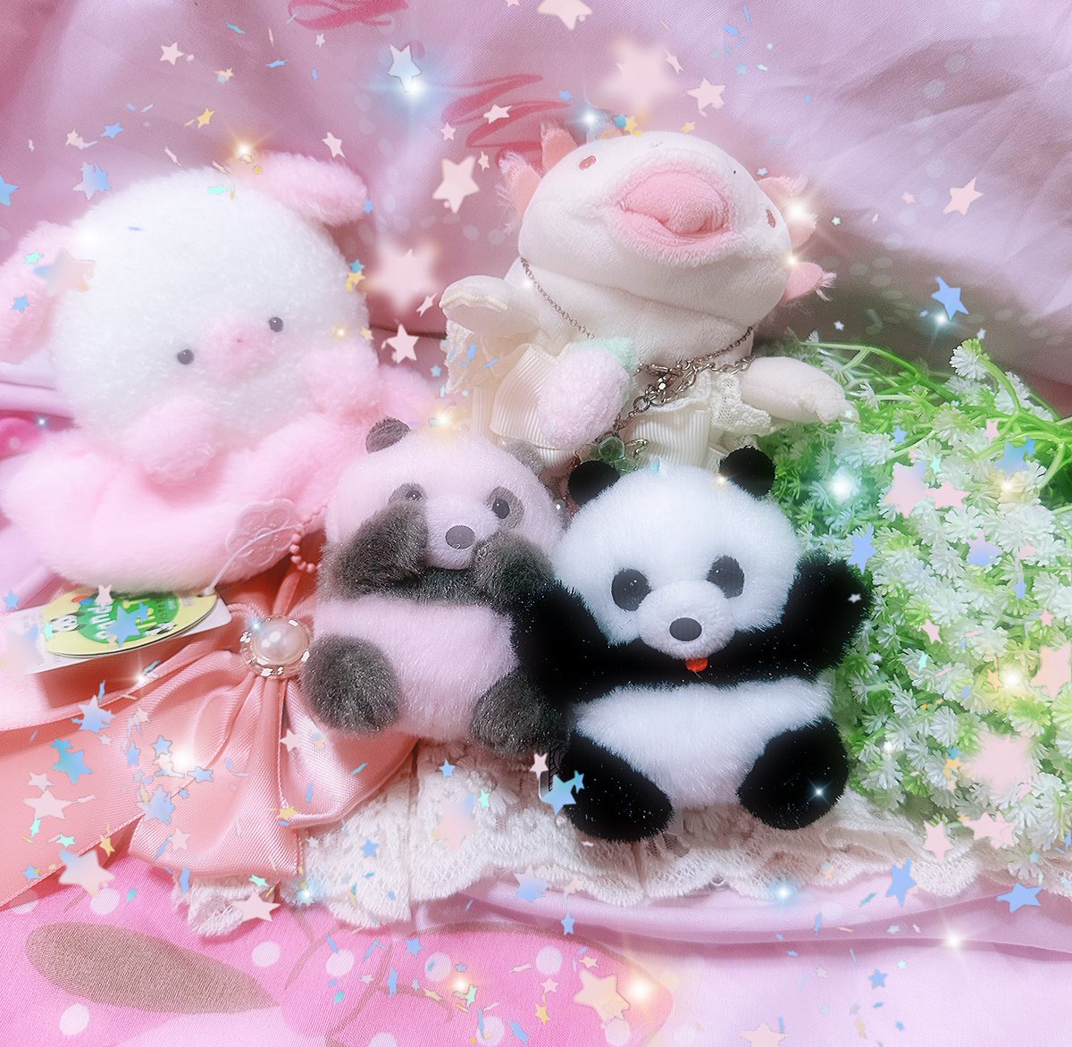 パンダのタイタイ🐼
恥ずかしがってる( * ॑꒳ ॑*)

 #ぬい撮り