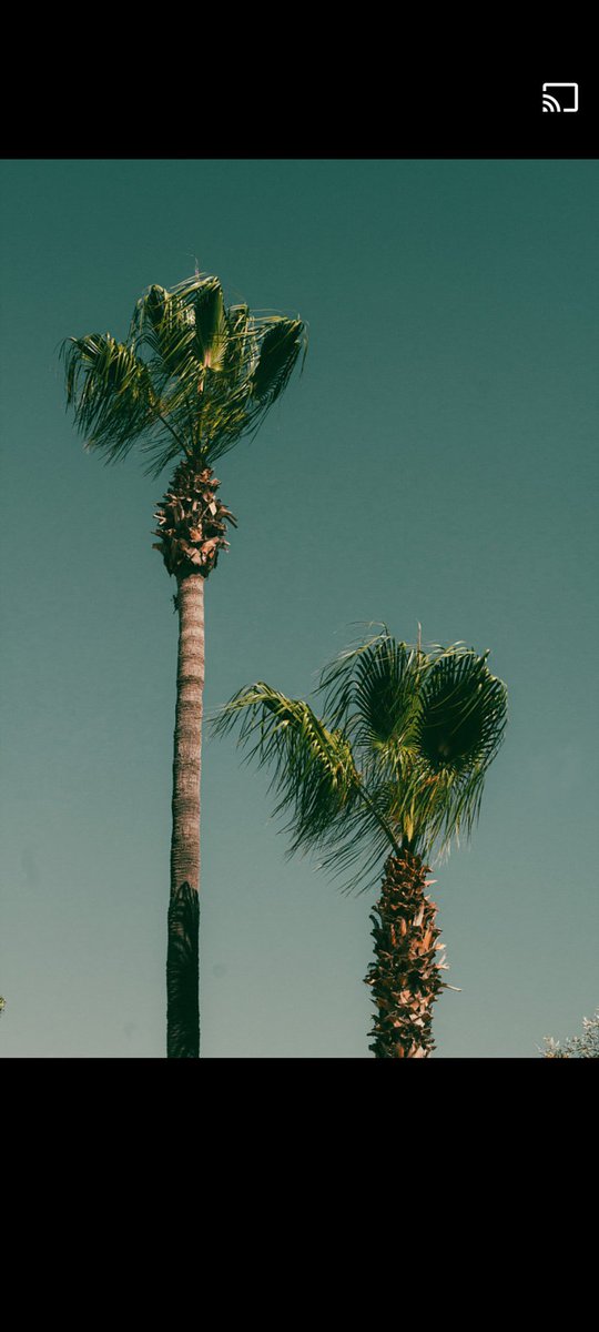 lostart0503's tweet photo. Death is beautiful 

#photography #photooftheday #art #artist #landscape #tree #beaitiful #ptetty #death #MentalHealthAwareness #summer https://t.co/DnsdTq6vgY