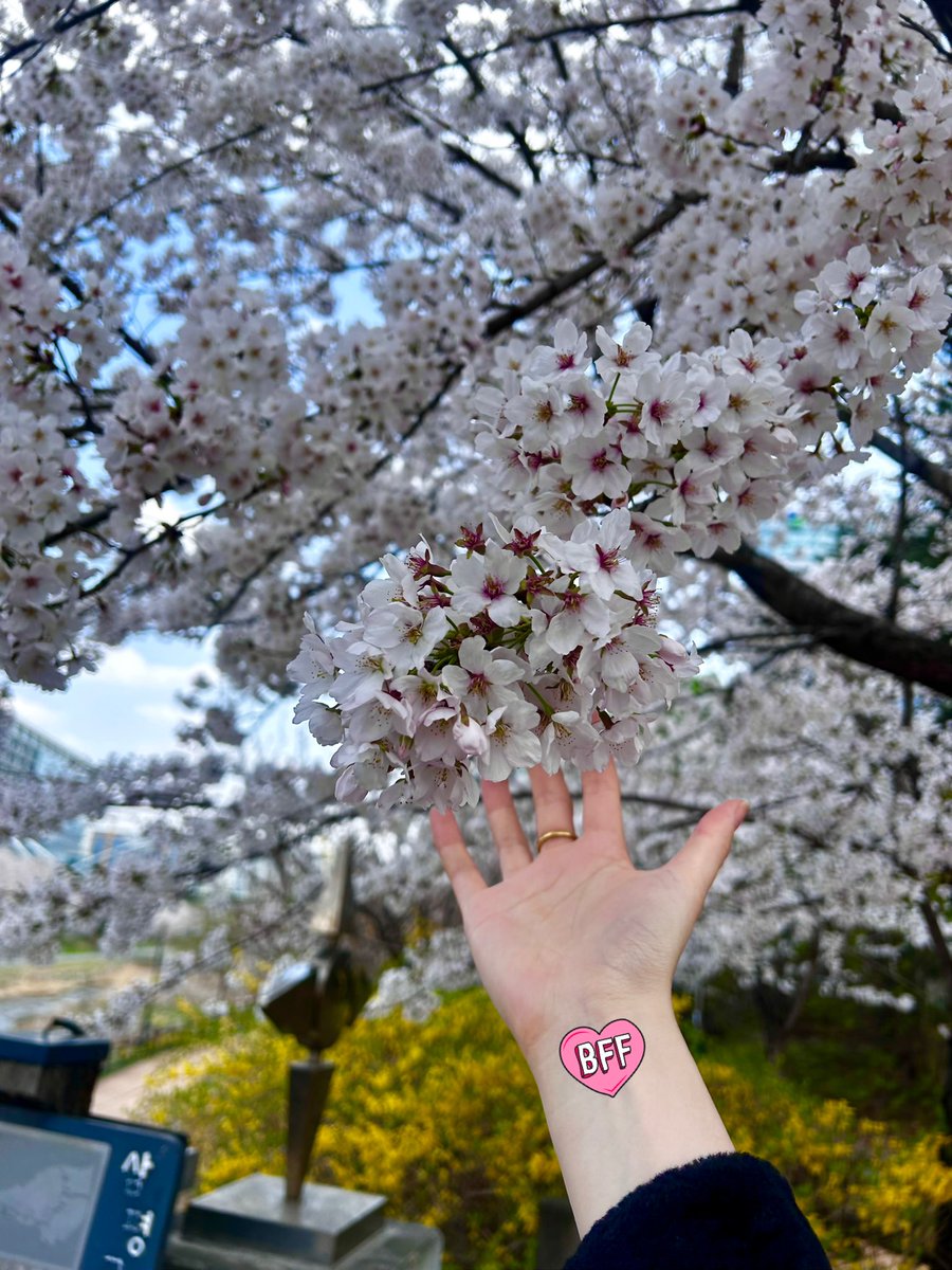 O_E17171771's tweet photo. Nothing can distract from the beauty of this Blossom K-night🍒

#CreatorHouseSeoulEdition
#Web3BlossomNightwithIdols 
#Abstract
#Aethir
#WEBGlobal 
#Nillion
#OpenLedger
#Web3 https://t.co/hdymnWfyAQ