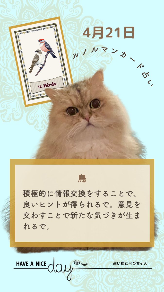 sakurano_karen's tweet photo. ⭐こべびちゃん占い⭐

占い猫こべびちゃんからの
今日のメッセージ☆彡 https://t.co/rdvLocafmT