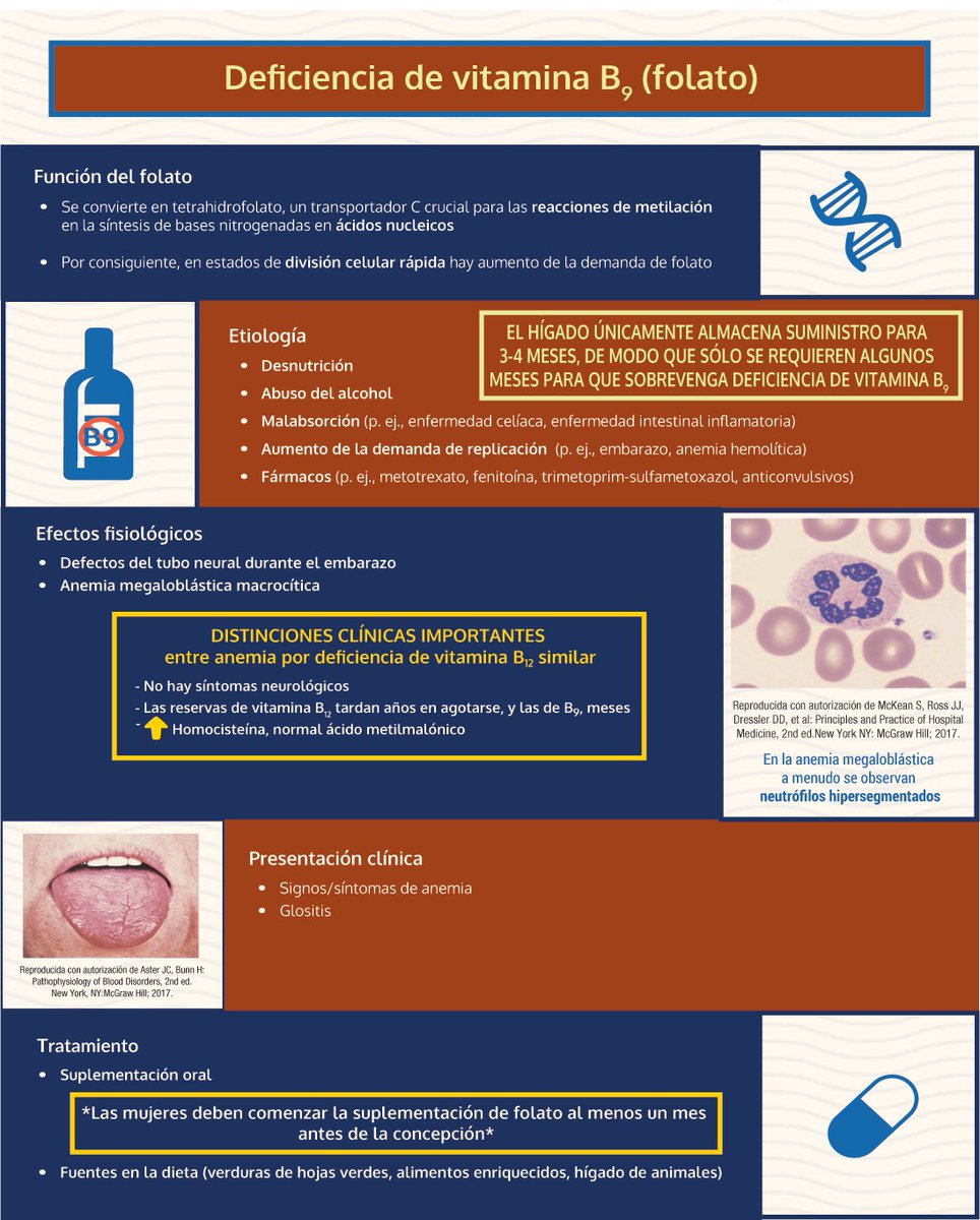 ENARM_intensivo's tweet photo. 💢DEFICIENCIA  DE  VITAMINA  B9

#ENARM_INTENSIVO #ESTUDIA_MEDICINA https://t.co/Aj1ShrCFbO